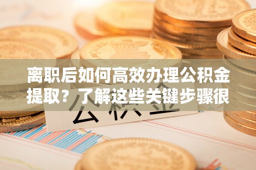 北门离职后如何高效办理公积金提取？了解这些关键步骤很重要！