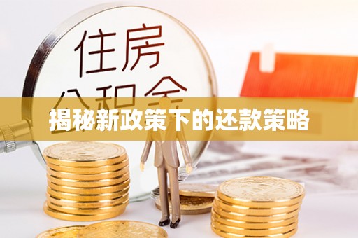 北门揭秘新政策下的还款策略