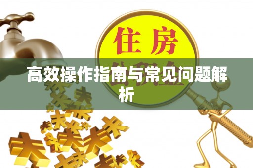 北门高效操作指南与常见问题解析