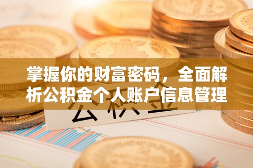 北门掌握你的财富密码，全面解析公积金个人账户信息管理与优化