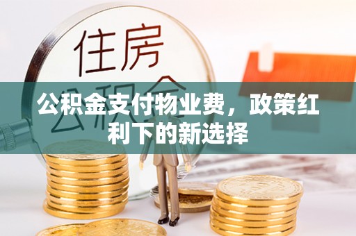 北门公积金支付物业费，政策红利下的新选择