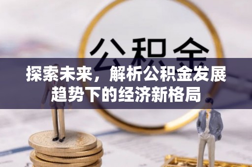 北门探索未来，解析公积金发展趋势下的经济新格局