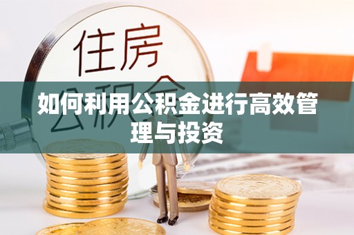 北门如何利用公积金进行高效管理与投资