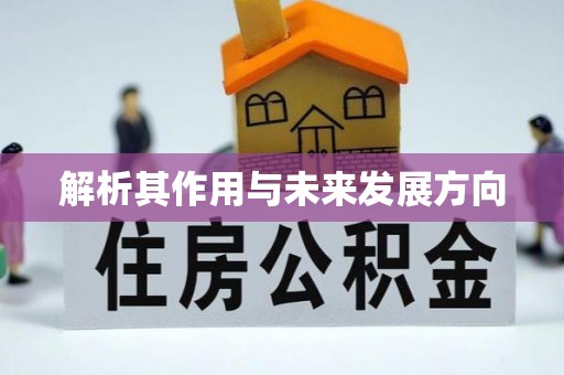 北门解析其作用与未来发展方向