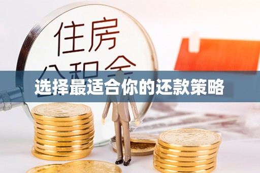 北门选择最适合你的还款策略