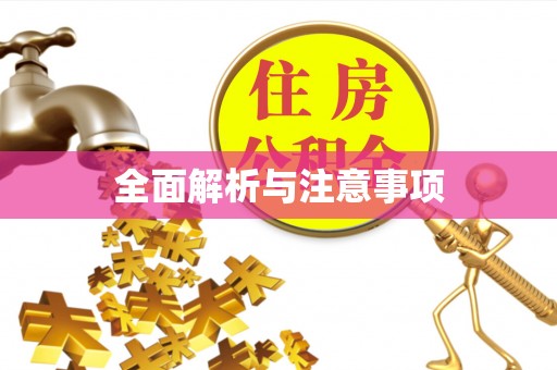 北门全面解析与注意事项